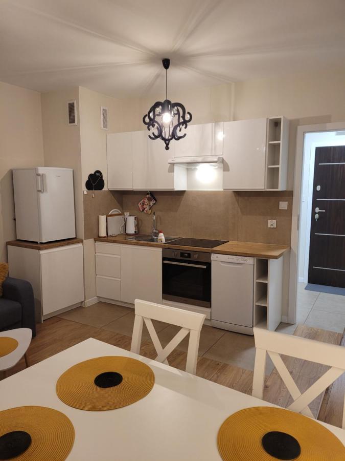 Apartament-Sadowa Έλμπλαγκ Εξωτερικό φωτογραφία